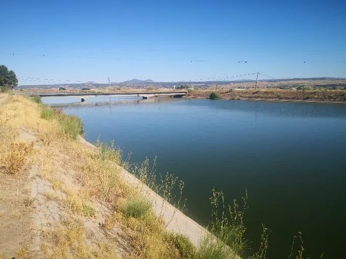 TL-1 Canal de Castrejón 3
