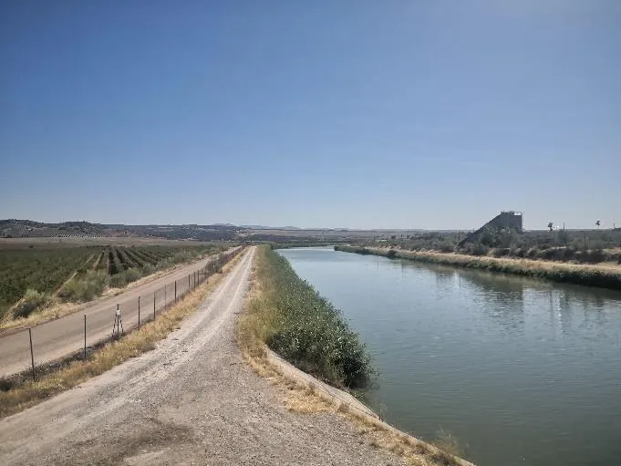 TL-1 Canal de Castrejón 4