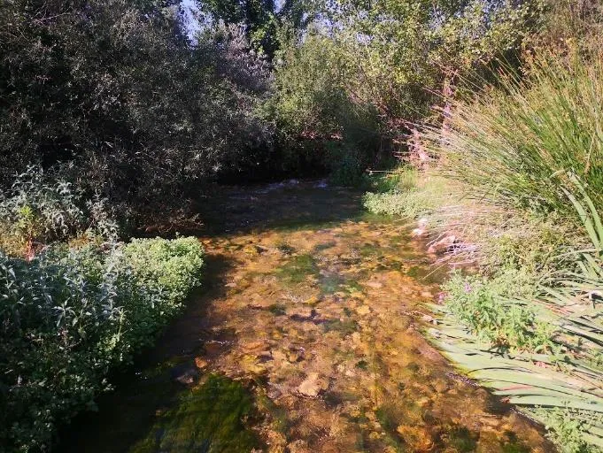 CE5-VillaverdeGuadalimar 2