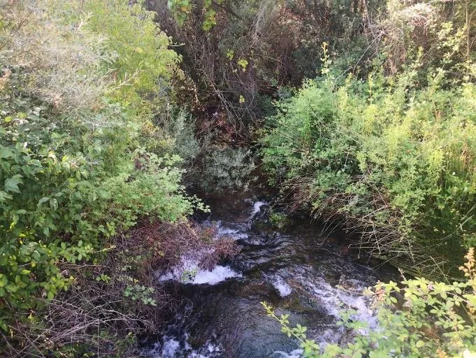 CE5-VillaverdeGuadalimar 3