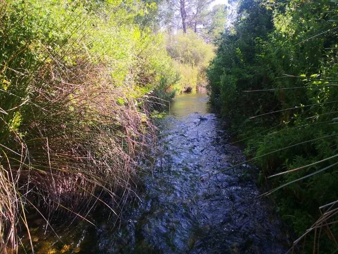 CE5-VillaverdeGuadalimar 4