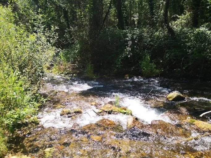 CE7-Cortijo del Vado 2