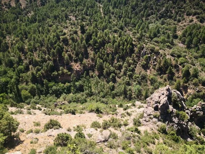 CE7-Cortijo del Vado 3