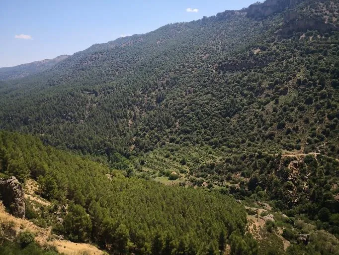 CE7-Cortijo del Vado 4