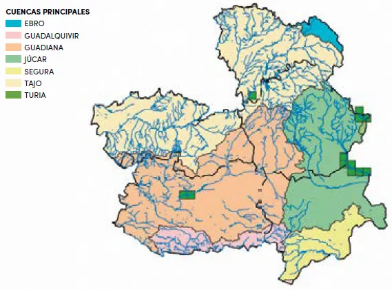 Especies de pesca Anguila distribución